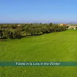 Il Fenicottero
