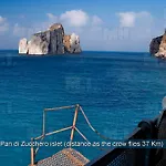 Il Fenicottero