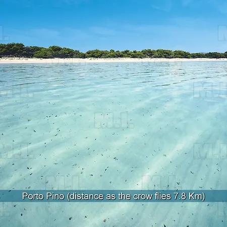 Il Fenicottero Masainas
