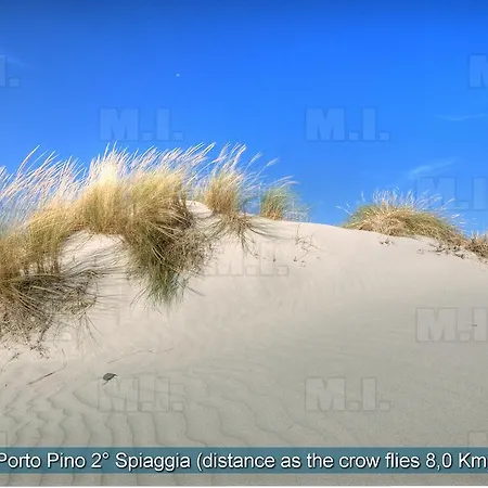 Il Fenicottero Masainas