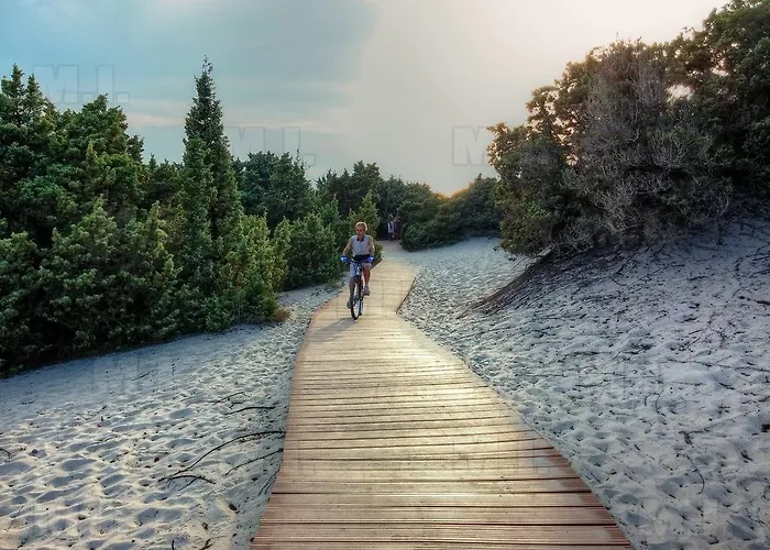 アパート Il Fenicottero *