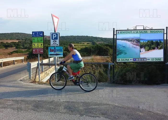 Il Fenicottero Masainas