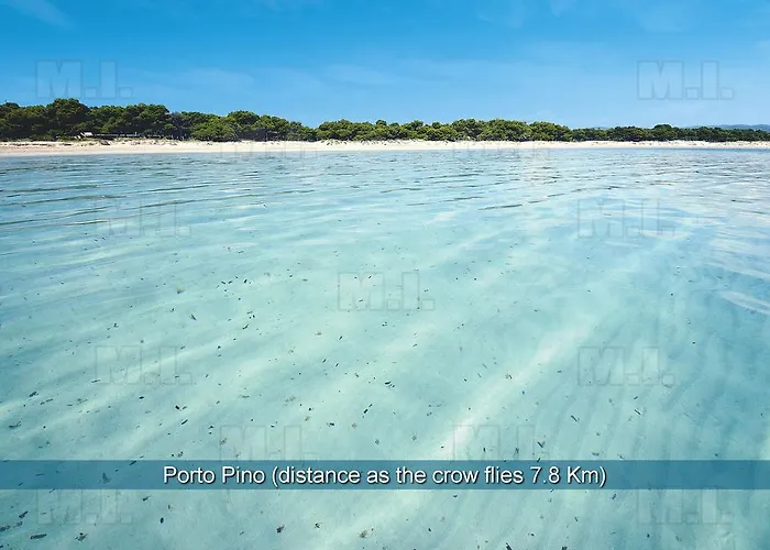 Il Fenicottero Masainas