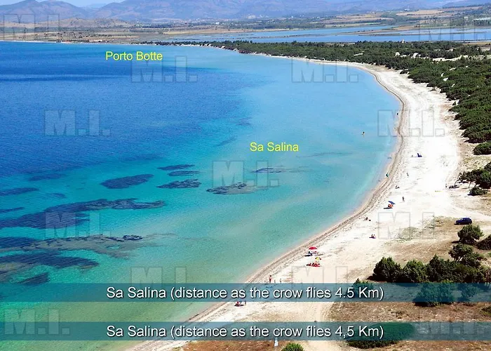 アパート Il Fenicottero