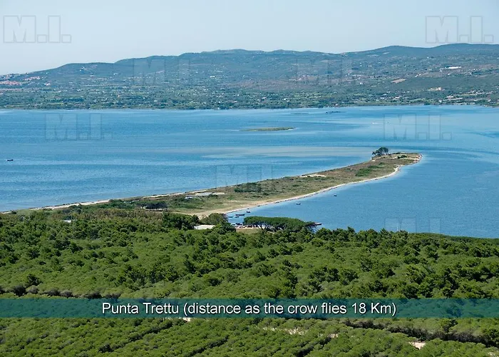 Il Fenicottero Masainas