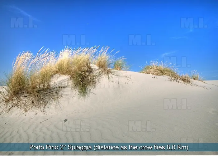 Il Fenicottero Masainas