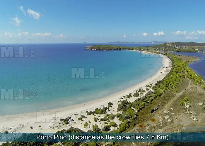 アパート Il Fenicottero